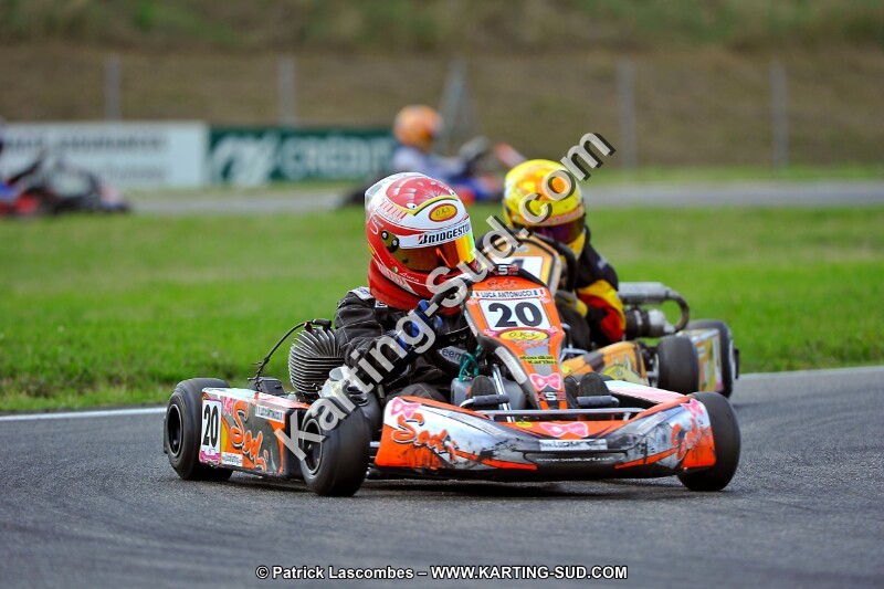 DSC_ (861).jpg